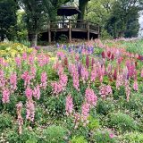 春の遠足もバス2台で!